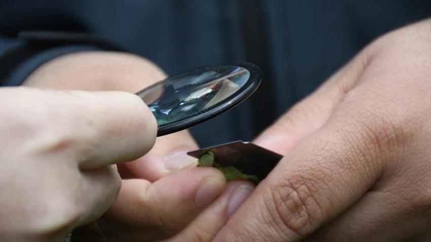 İşte zirai dona karşı alınacak yöntemler! Yurdun dört bir yanı zirai dondan zarar gördü 