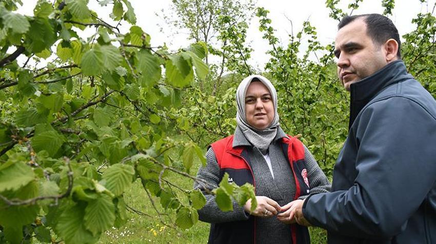 İşte zirai dona karşı alınacak yöntemler! Yurdun dört bir yanı zirai dondan zarar gördü 