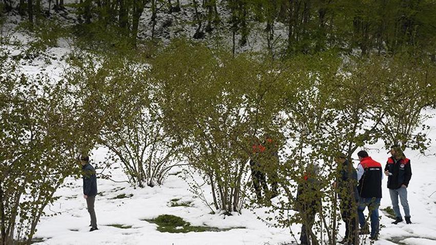 İşte zirai dona karşı alınacak yöntemler! Yurdun dört bir yanı zirai dondan zarar gördü 