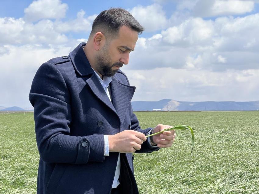 İşte zirai dona karşı alınacak yöntemler! Yurdun dört bir yanı zirai dondan zarar gördü 