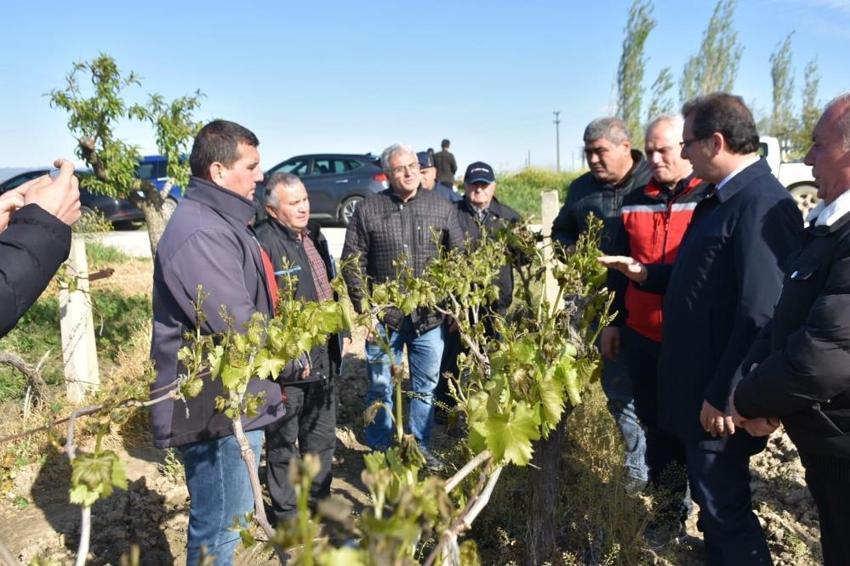 İşte zirai dona karşı alınacak yöntemler! Yurdun dört bir yanı zirai dondan zarar gördü 