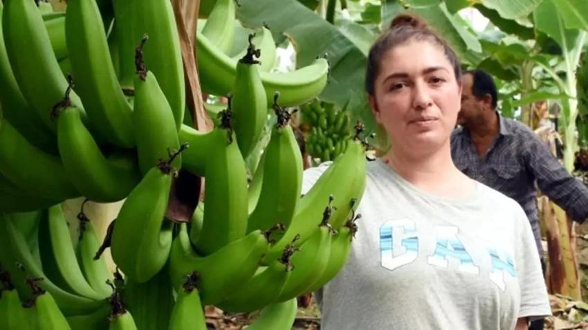 Devlet 12 dönüme hibe etti, ilk yılda 1 milyon TL kazandı! Üretimi öğrenciyken keşfetti, ihracata başlıyor