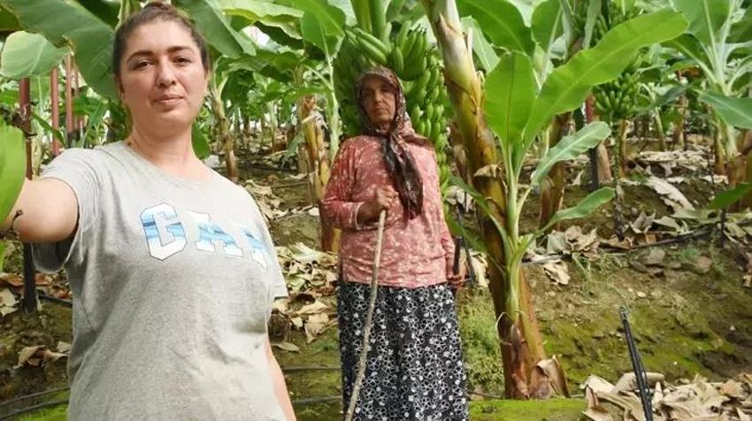 Devlet 12 dönüme hibe etti, ilk yılda 1 milyon TL kazandı! Üretimi öğrenciyken keşfetti, ihracata başlıyor