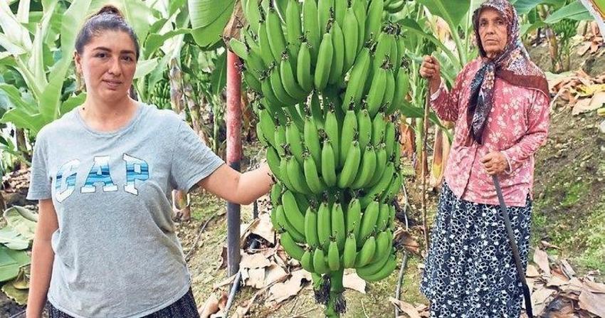 Devlet 12 dönüme hibe etti, ilk yılda 1 milyon TL kazandı! Üretimi öğrenciyken keşfetti, ihracata başlıyor