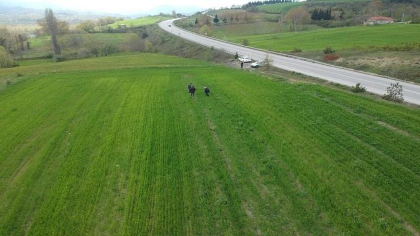 Sinop'ta tarlasında kenevir ele geçirilen çiftçi: "Yasa dışı iş yapmadık, valilik rencide etti"