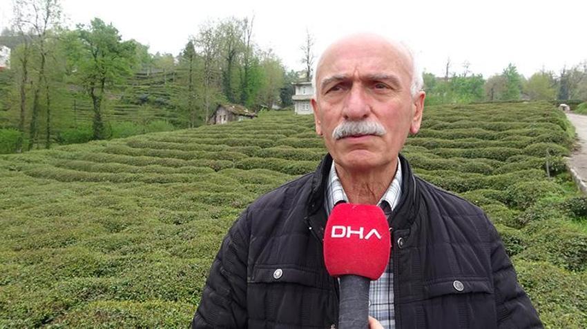 Bu yıl çayı pahalıya içeceğiz! Zirai dondan çay da nasibini aldı: Rekolte kaybı bekleniyor, üreticiler tedirgin