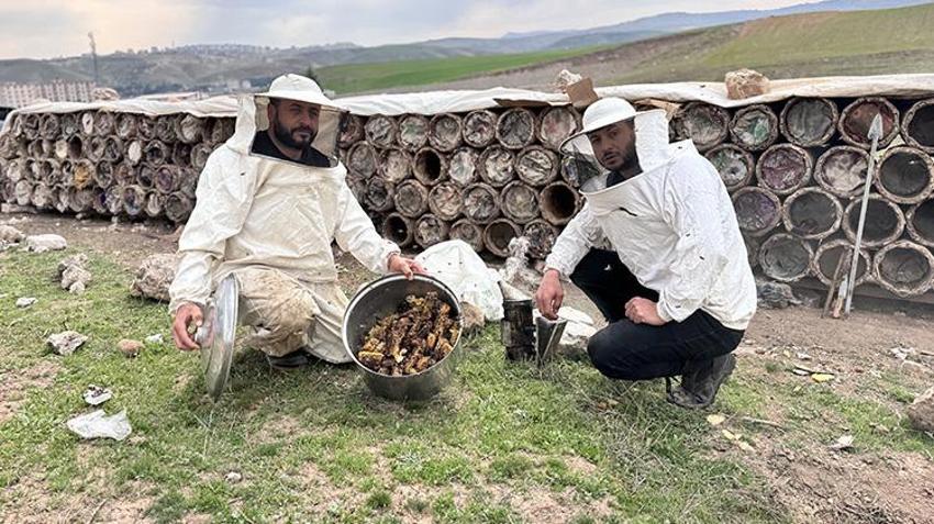Üniversiteden mezun olup köye yerleşti! Ata mesleğini devletten aldığı hibe ile büyüttü