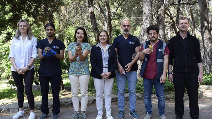 Hayvan kreşindeki yavrular anne şefkatiyle büyütülüyor!