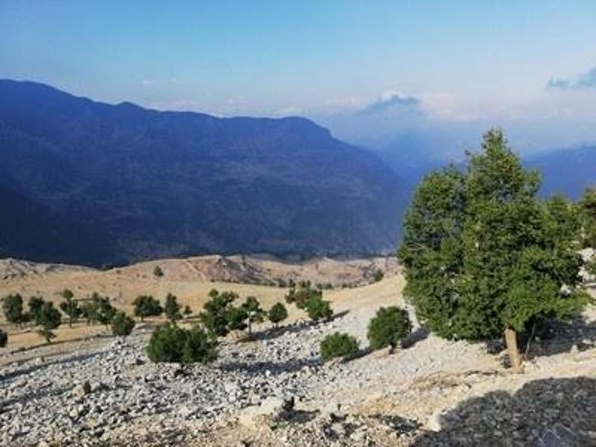 İki ilçeyi küstüren 3 fıkra! Bu şehir efsanesi Adana'ya ait: Şimdi herkes biliyor