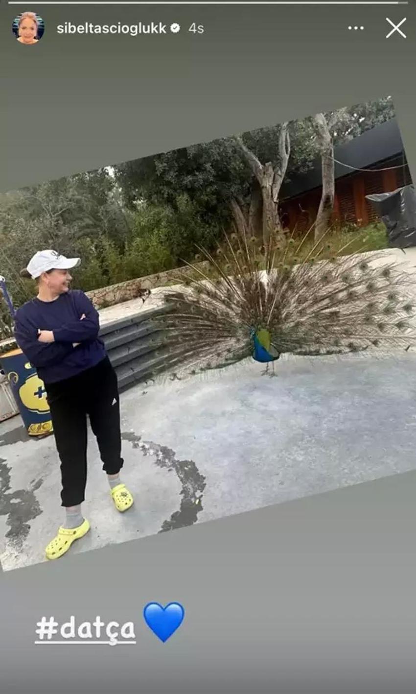 Kızılcık Şerbeti'nden sürpriz ayrılığı sonrası soluğu orada aldı! Yeni diziye ne zaman başlayacak?