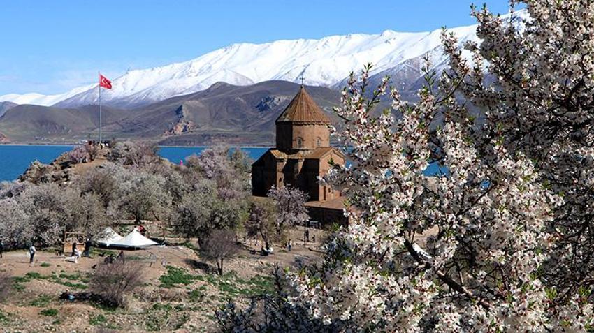 Cennetten bir köşe! Akdamar adası pembe beyaza büründü: 3. Badem Çiçeği Festivali başladı