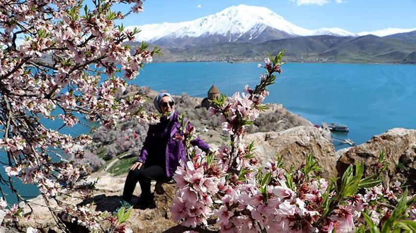 Cennetten bir köşe! Akdamar adası pembe beyaza büründü: 3. Badem Çiçeği Festivali başladı