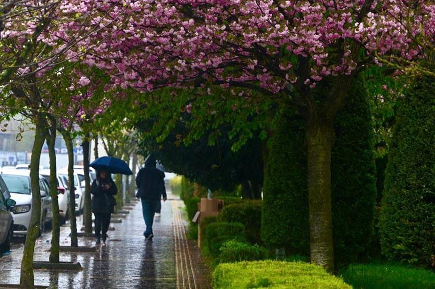 Yağmur, gök gürültülü sağanak, sis ve toz taşınımı uyarısı! Meteoroloji son raporu açıkladı; Göz gözü görmeyecek
