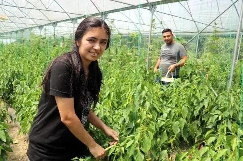 Abisini bu işe ikna etti, üretimi 3 dönüme çıkardı! Yıllık 6 ton ürünü Karadeniz'e o satıyor!