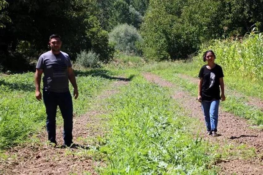 Abisini bu işe ikna etti, üretimi 3 dönüme çıkardı! Yıllık 6 ton ürünü Karadeniz'e o satıyor!