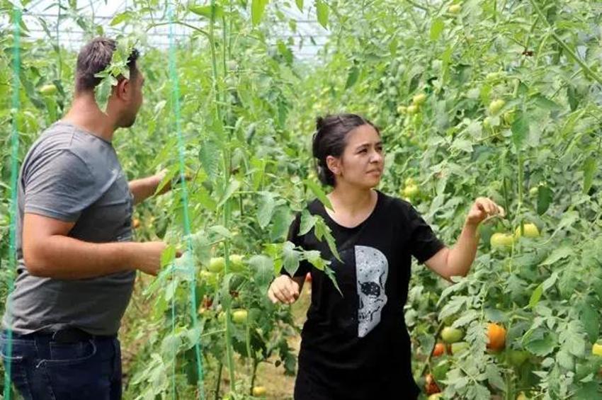 Abisini bu işe ikna etti, üretimi 3 dönüme çıkardı! Yıllık 6 ton ürünü Karadeniz'e o satıyor!