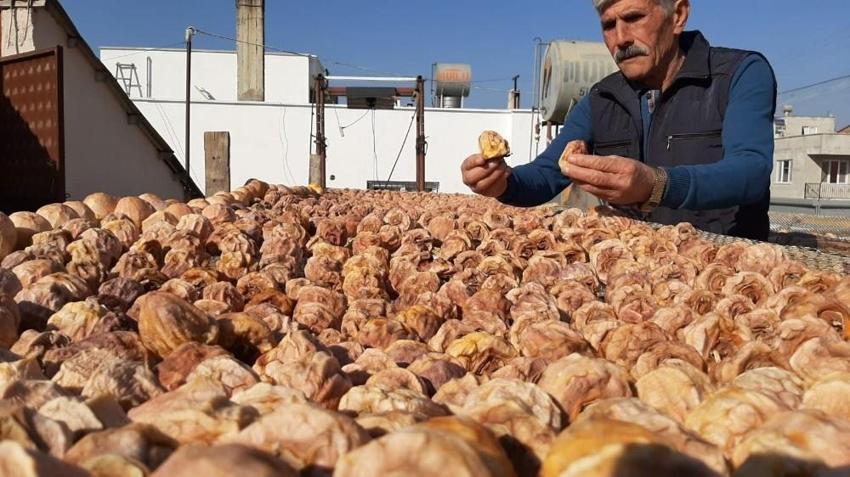 Komşularına iş vererek başladı, 5 ton ürünü 1 senede aldı! Adana'da açık havaya fabrika Kurdu!