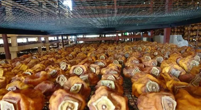 Komşularına iş vererek başladı, 5 ton ürünü 1 senede aldı! Adana'da açık havaya fabrika Kurdu!