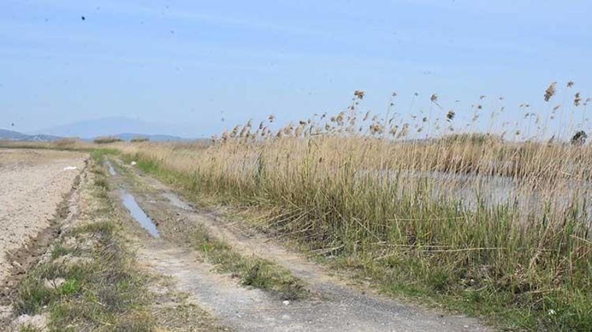 Gediz Nehri kapkara oldu! Vatandaşlar tedirgin: Dokunmaya korkar hale geldik