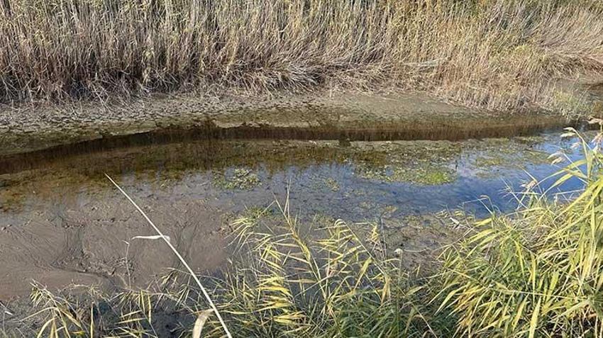 Gediz Nehri kapkara oldu! Vatandaşlar tedirgin: Dokunmaya korkar hale geldik