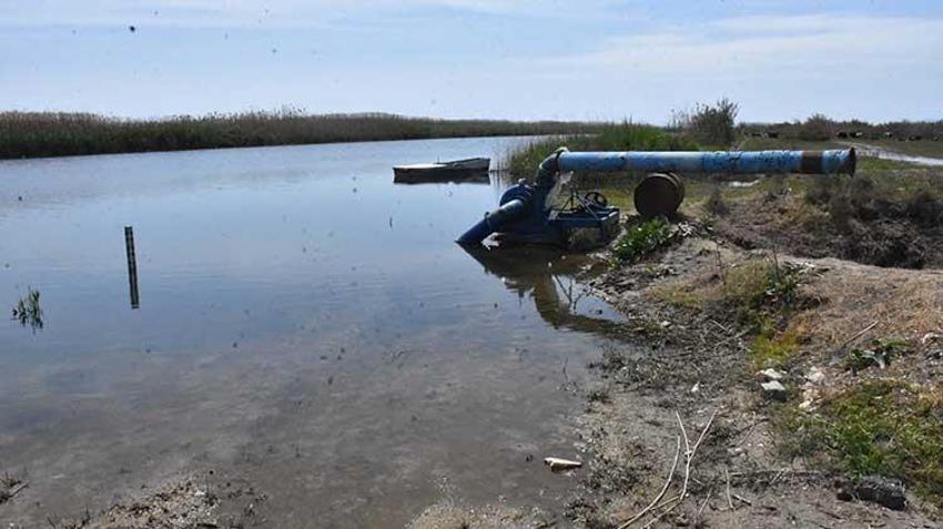 Gediz Nehri kapkara oldu! Vatandaşlar tedirgin: Dokunmaya korkar hale geldik