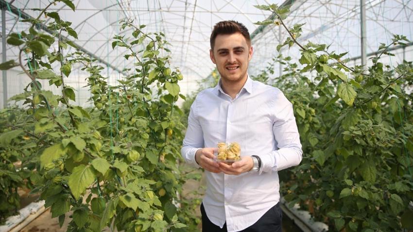 100 gramlık paketlere koydu, kilosunu 150 liraya satıyor! 4 dönümle yetmiyor, İstanbul'da marketlere satıyor