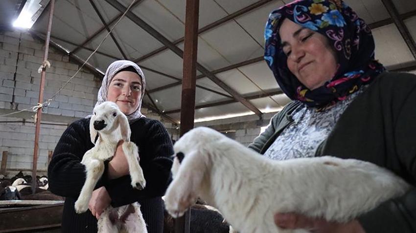 Anne kız el ele verdi, bu işe başladı! Yılda 9 buçuk ton üretim yaparak kazançlarına kazanç katıyorlar