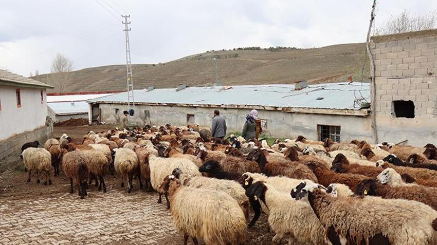 Anne kız el ele verdi, bu işe başladı! Yılda 9 buçuk ton üretim yaparak kazançlarına kazanç katıyorlar