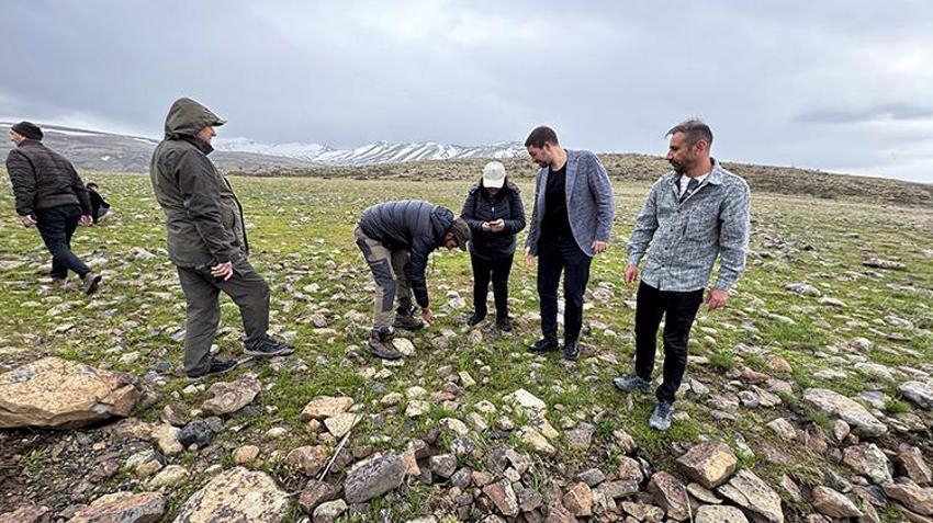 Dünyada sadece Elazığ'da var! Akademisyenler Karakoçan'da inceledi