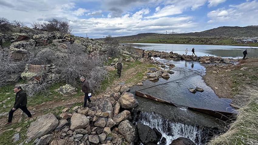 Dünyada sadece Elazığ'da var! Akademisyenler Karakoçan'da inceledi