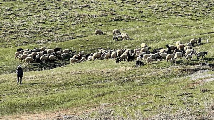 Türkiye'de bulamazlarsa İran'dan getirecekler! Asgari ücretin 3 katı maaş veriyorlar