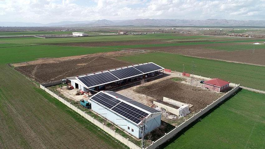 Muşlu girişimci aklını kullandı! Çifte gelir kaynağı yarattı: Elektrik dağıtım şirketine satış yaparak ek gelir sağlıyor