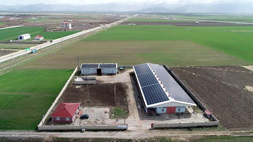 Muşlu girişimci aklını kullandı! Çifte gelir kaynağı yarattı: Elektrik dağıtım şirketine satış yaparak ek gelir sağlıyor