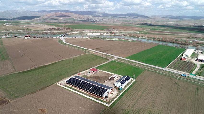 Muşlu girişimci aklını kullandı! Çifte gelir kaynağı yarattı: Elektrik dağıtım şirketine satış yaparak ek gelir sağlıyor