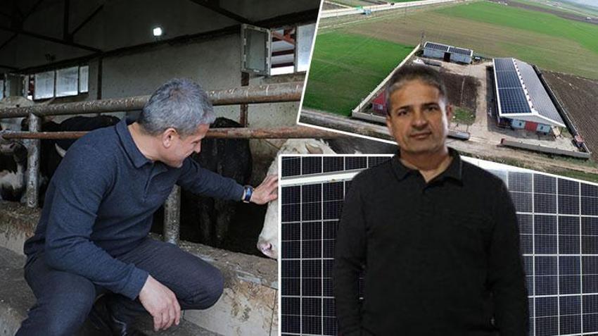 Muşlu girişimci aklını kullandı! Çifte gelir kaynağı yarattı: Elektrik dağıtım şirketine satış yaparak ek gelir sağlıyor