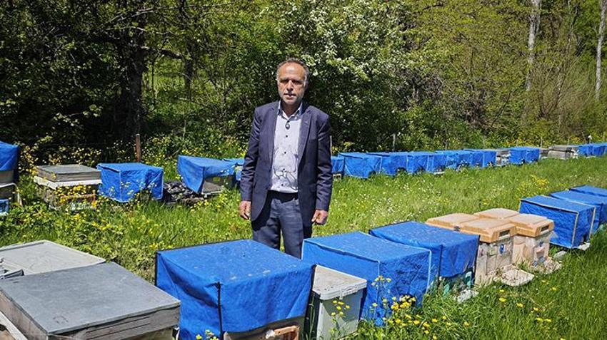 Zirai don arıcılığı da vurdu! Yüzde 60'a varan kayıp bekleniyor