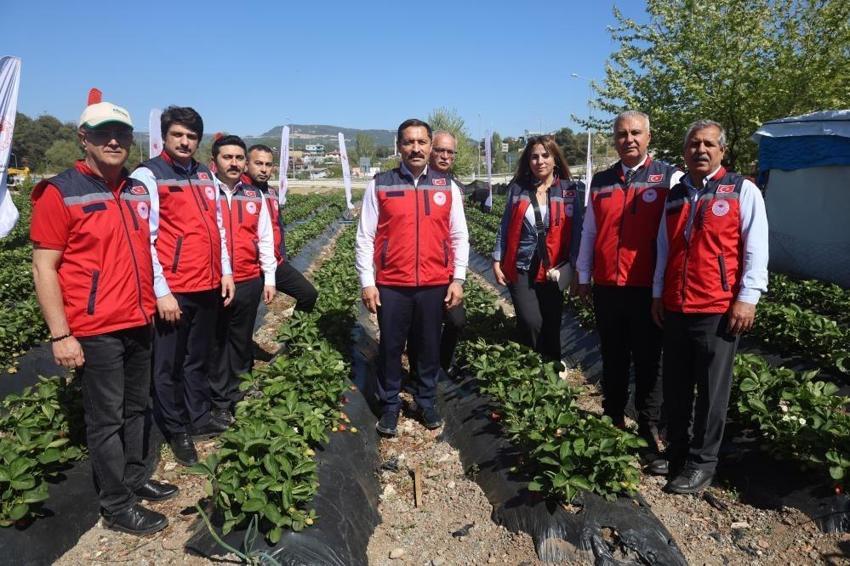 Bu yıl 9 bin 300 tonu geçecek! Kadın erkek tarlaya indi: Kilogram fiyatı...