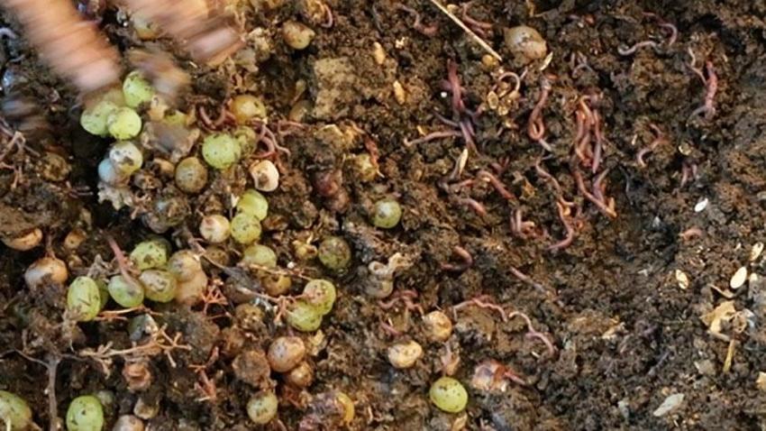 200 ton üretip 1 milyon adet satıyor! Kocası ona patron diyor: İki kadın girişimci ihracata hazırlanıyor!