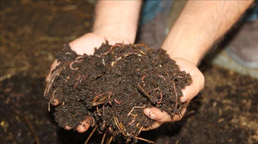 200 ton üretip 1 milyon adet satıyor! Kocası ona patron diyor: İki kadın girişimci ihracata hazırlanıyor!