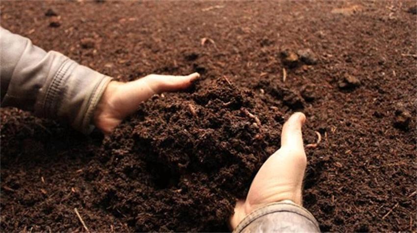 200 ton üretip 1 milyon adet satıyor! Kocası ona patron diyor: İki kadın girişimci ihracata hazırlanıyor!