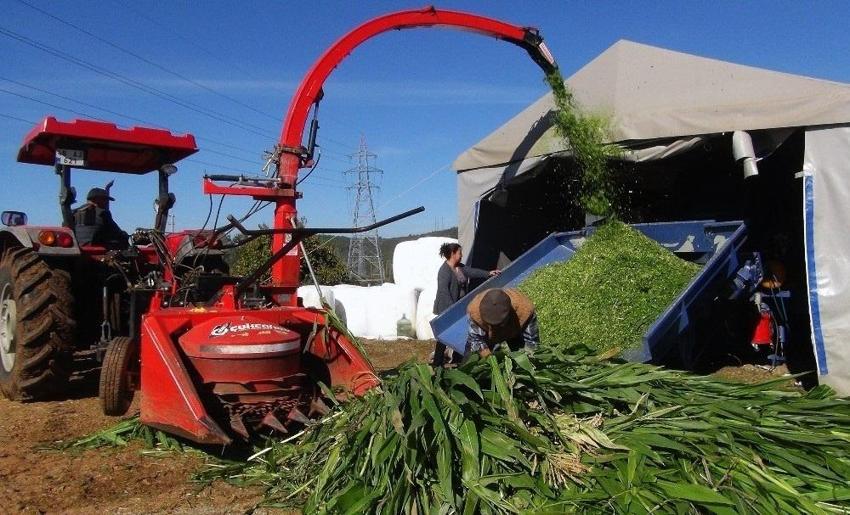 200 ton üretip 1 milyon adet satıyor! Kocası ona patron diyor: İki kadın girişimci ihracata hazırlanıyor!