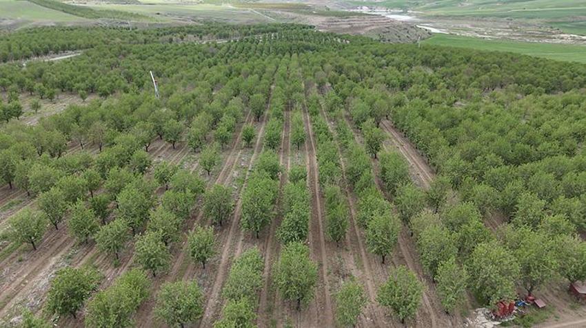 Herkes kaybetti o kazandı! Adıyamanlı vatandaşın önlemi işe yaradı
