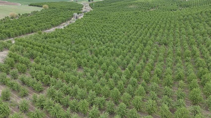 Herkes kaybetti o kazandı! Adıyamanlı vatandaşın önlemi işe yaradı