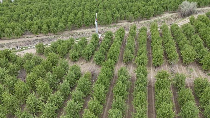 Herkes kaybetti o kazandı! Adıyamanlı vatandaşın önlemi işe yaradı