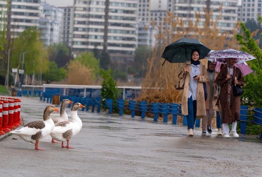 Meteoroloji 38 şehiri kuvvetli sağanak yağışlara karşı uyardı! İşte son hava durumu raporu