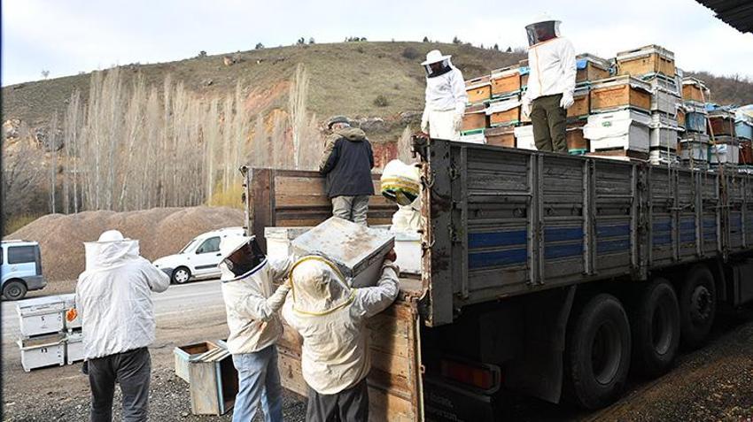 Belediye yüzlerce arılı kovan dağıttı! Kırsal kalkınmayı destekleyen projeye ilgi büyük