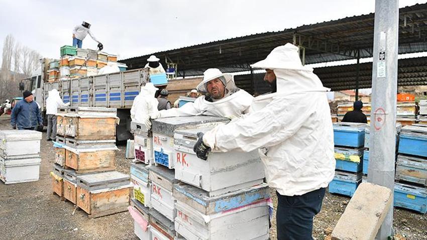 Belediye yüzlerce arılı kovan dağıttı! Kırsal kalkınmayı destekleyen projeye ilgi büyük