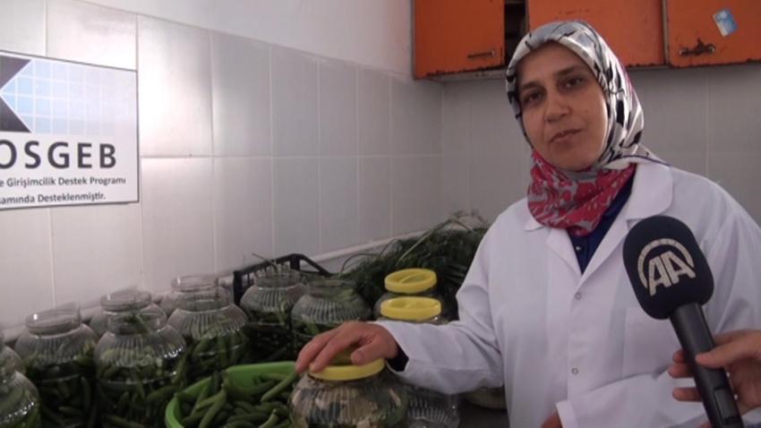 Komşuları beğenince, fabrikasını kurdu! Genç kadın girişimci üretimi 100 dönüme çıkarttı: Günlük 5 ton satıyor