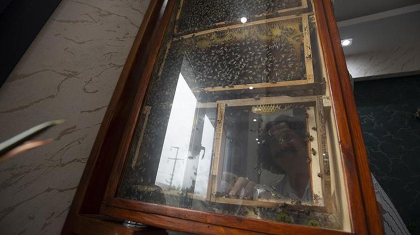 Aydınlı iş insanı İsviçre'de gördü, aynısını ofisine yaptırdı! Görenler gözlerine inanamıyor