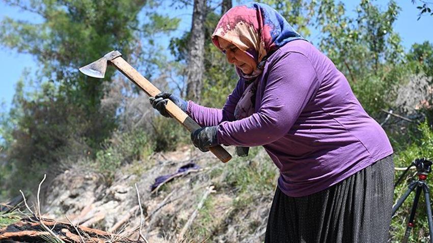 Ekmeklerini ormandan çıkarıyorlar! Osmaniyeli karı koca yıllardan beri bu işi yapıyor